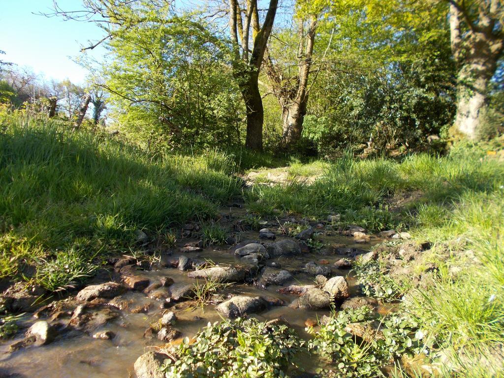 Terre Et Eau Gite Sevremont La Flocelliere Exterior photo